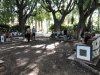 0fa40-IMG_9338