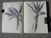 5a-IMG_5663