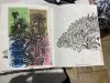 IMG_4951