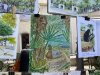 IMG_4916