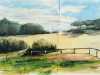 d7ce45d8-bb8e-4c4a-b178-492bd69c5c0e