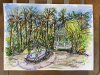 IMG_4722