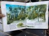 1-IMG_4802