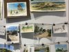 32_IMG_6703