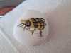 c69eeb32-ec51-4d20-a0ee-76ed99fb7afb