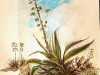 za490468-1c6e-4fab-89fd-94c7bbfa43e2