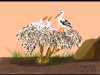 zza1d1e-f538-4eed-91f3-5875a166d411