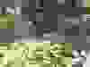 1e3653e-ae47-4f92-9311-b4a7eaa2f53a
