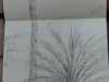 ade62a20-cc29-48a3-a42e-b812f307e024