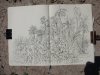 3IMG_6142AFF
