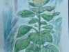 590ef663-c5b4-431d-9789-7f263147bc8d