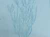 61bc5026-54a2-4099-9839-08442fd0ea2a