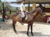 GRANJA ROCA 28 ABR 2018-31