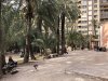 648dfa-IMG_7569