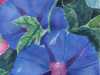 84140e72-db76-4119-9b91-7a2b2f36e590