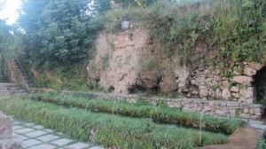 Letur003