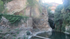 Letur005
