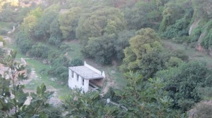 Letur006